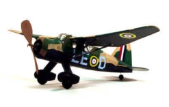 DUMAS Lysander (44.5cm)